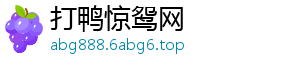 休闲-打鸭惊鸳网